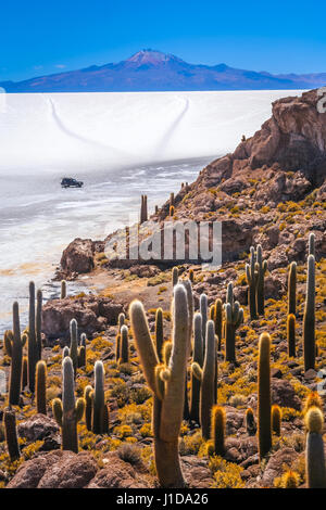 Allradantrieb in der Mitte des Salar de Uyuni gesehen von der Kaktus Insel, Altiplano, Bolivien Stockfoto