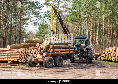 Ronneby, Schweden - 1. April 2017: Dokumentation der Arbeitstag im Wald. Traktor mit Holz Anhänger fahren auf einer Landstraße in den Wald. Stapel von t Stockfoto