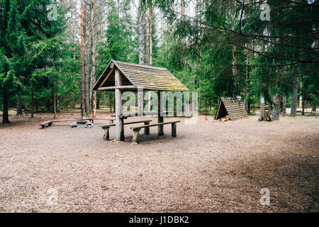 Campingplatz mit Holztisch und Kamin im Nadelwald. Gut organisierten Campingplatz Stockfoto