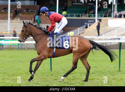 Jockey Graham Lee an Bord Kassia wollte für die Connaught Zugang Bodenbelag Abernant Einsätze tagsüber drei der bet365 Craven Sitzung in Newmarket Racecourse post. PRESSEVERBAND Foto. Bild Datum: Donnerstag, 20. April 2017. Finden Sie unter PA Geschichte RACING Newmarket. Bildnachweis sollte lauten: Adam Davy/PA Wire Stockfoto