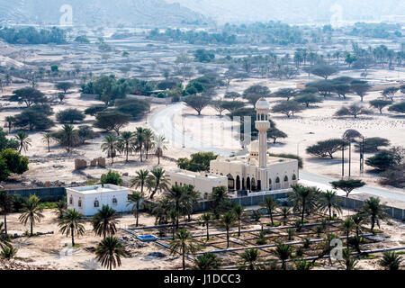 Mit Blick auf eine Dattelpalme Baumschule und Moschee in der Stadt Bukha, Oman. Stockfoto