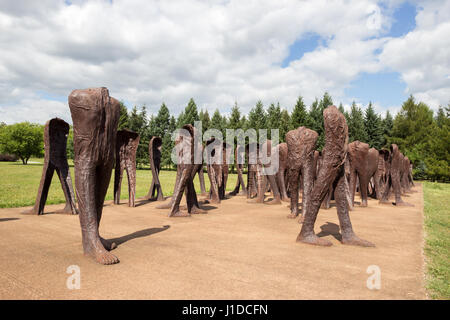 Posen, Polen - 20. August 2014: Iron 2 Meter hohe kopflosen Figuren marschieren ziellos durch den Park der Zitadelle in Posen. Das Denkmal wird Unrecog genannt. Stockfoto