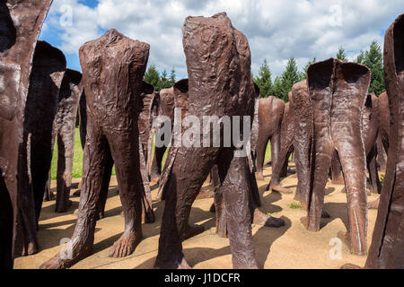 Posen, Polen - 20. August 2014: Iron 2 Meter hohe kopflosen Figuren marschieren ziellos durch den Park der Zitadelle in Posen. Das Denkmal wird Unrecog genannt. Stockfoto