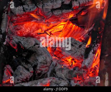 Lagerfeuer Rotglut hautnah mit verkohltem Holz und Asche Stockfoto