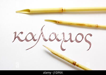 Drei Reed-Stifte (Calamus, Qalam) und Wort Kalamos über Weißbuch in griechischer Schrift und Sprache geschrieben Stockfoto