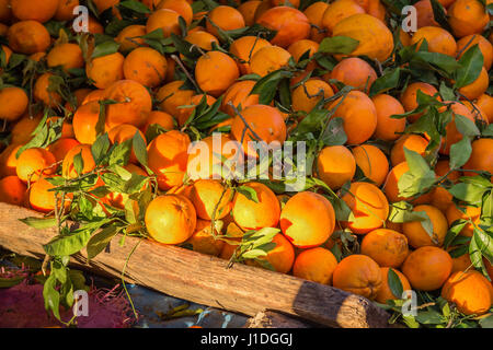 Markt in Medina von Fès ist voll von verschiedenen waren, Marokko Stockfoto