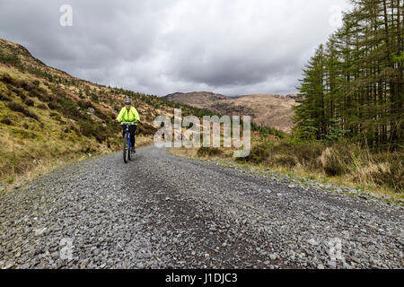 Mountainbiker auf National Cycle Route 7 in Glen Trool, Galloway Hills, Schottland Stockfoto