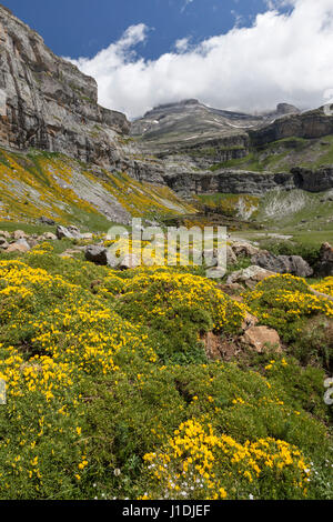 Die Ordesa-Schlucht und der Blick in Richtung der Circo De Soaso Pyrenäen Spanien Stockfoto