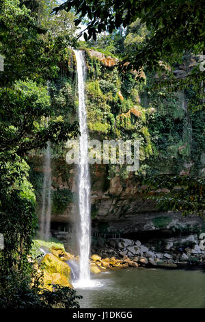 Der Wasserfall Cascade Misol-Ha, in der Nähe von Palenque, Mexiko, stürzt über eine Pflanze bedeckt Klippe n zu einem kleinen See. Gibt es ein Fußweg,! Ohren zu einer Höhle hinter dem Wasserfall. Stockfoto