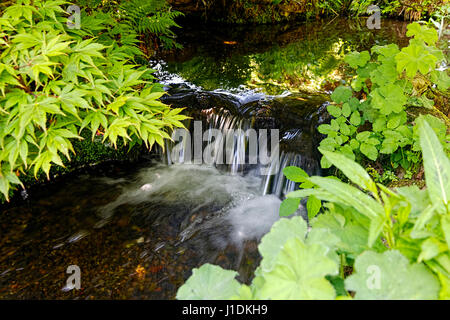 An einem hellen Sommertag auf einer englischen Wiese kleine geht flach, Stream sanft über einen großen Felsen eine Miniatur Wasserfall. Stockfoto