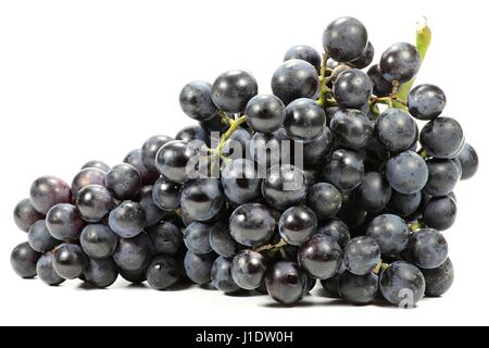 Trauben (Sorte Muscat Bleu) isoliert auf weißem Hintergrund Stockfoto