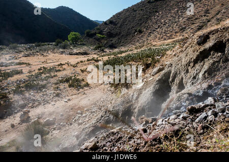 Die Quelle der Sespe Hot Springs steigt aus der Seite eines Berges in der Sespe-Wüste in der Nähe von Ojai, Kalifornien. Stockfoto