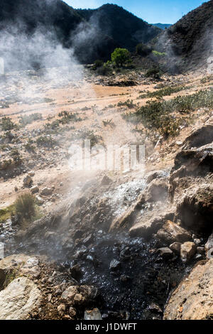 Die Quelle der Sespe Hot Springs steigt aus der Seite eines Berges in der Sespe-Wüste in der Nähe von Ojai, Kalifornien. Stockfoto