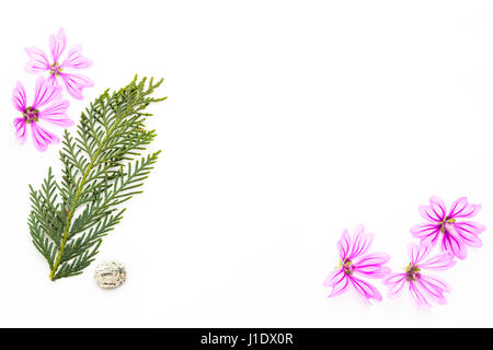 Postkarte mit leeren Platz für Inschrift aus verstreuten Rosa kleine Blumen, Zweige von Thuja, Stein des Meeres und Muscheln auf einem hellen Hintergrund Stockfoto