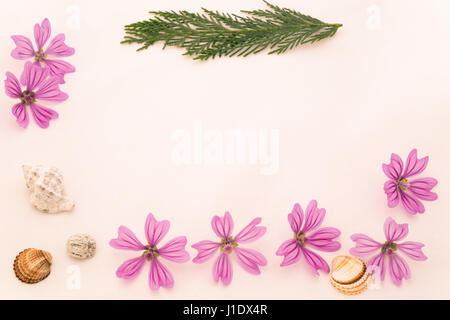 Postkarte mit leeren Platz für Inschrift aus verstreuten Rosa kleine Blumen, Zweige von Thuja, Stein des Meeres und Muscheln auf einem hellen Hintergrund Stockfoto