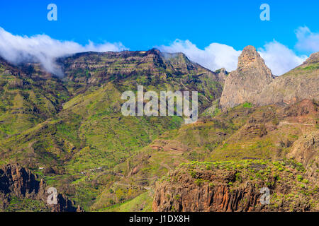 Landschaft mit Palmen und Berge an sonnigen Tag, Benchijigua Tal, La Gomera, Kanarische Inseln Stockfoto