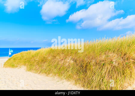 Pfad zum Strand zwischen Sanddünen bedeckt mit Rasen, Insel Sylt, Deutschland Stockfoto