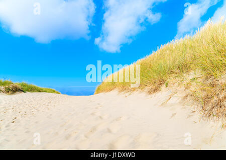 Pfad zum Strand zwischen Sanddünen bedeckt mit Rasen, Insel Sylt, Deutschland Stockfoto