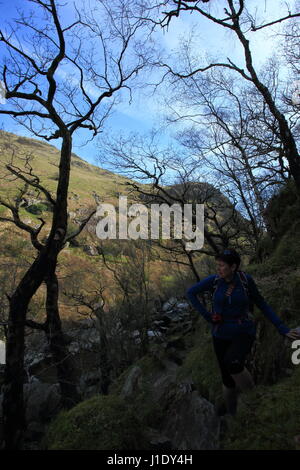 Weibliche Wanderer zu Fuß auf die Felsen rund um Gwenffrwd Dinas mit Hügeln im Hintergrund reservieren Stockfoto