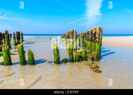 Hölzernen Wellenbrecher am Sandstrand an sonnigen Sommertag, Insel Sylt, Deutschland Stockfoto