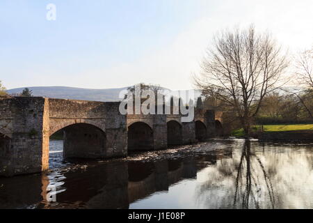 Die entsteinten gewölbte Brücke über den Fluss Usk in der kleinen Stadt Crickhowell, Brecon-Beacons-Nationalpark Stockfoto