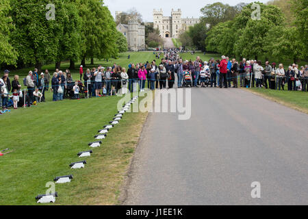 Windsor, UK. 21. April 2017. Kanone sind 91. Geburtstag der Königin für die traditionellen 21 Salutschüsse auf Long Walk in der Nähe von Windsor Castle in Windsor Great Park vorbereitet. Amtliche Geburtstag der Königin wird am 11. Juni gefeiert. Bildnachweis: Mark Kerrison/Alamy Live-Nachrichten Stockfoto