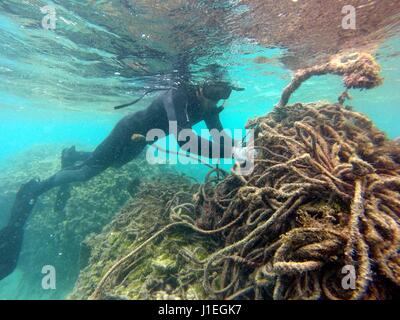 Hawaiian Staatsbedienstete sammeln ausrangierte Netze, Kunststoff und Meeresmüll aus der Lagune auf Kure-Atoll 16. Juni 2015 in Papahanaumokuakea Marine National Monument. Die NOAA Marine Debris Program entfernt Tausende von Pfund von verweigern jedes Jahr von den Inseln. Stockfoto