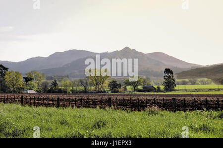 Bepflanzten Hof in Tandil, Buenos Aires, Argentinien Stockfoto