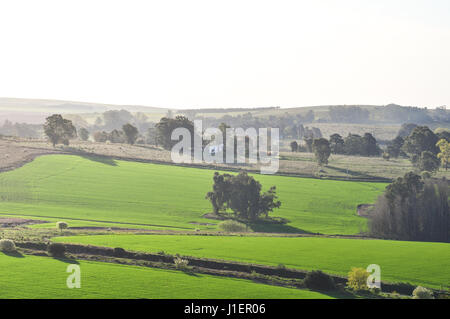 Bepflanzten Hof in Tandil, Buenos Aires, Argentinien Stockfoto