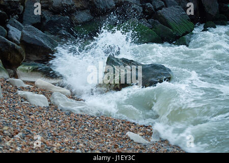 Wellen, die gegen Algen bedeckt Felsen auf einem Kiesstrand Stockfoto