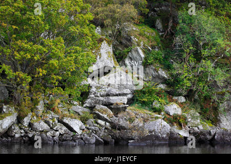 Rob Roy MacGregors verstecken sich am Ufer des Loch Lomond, in der Nähe von Inversnaid, Trossachs National Park, Schottland, Europa Stockfoto