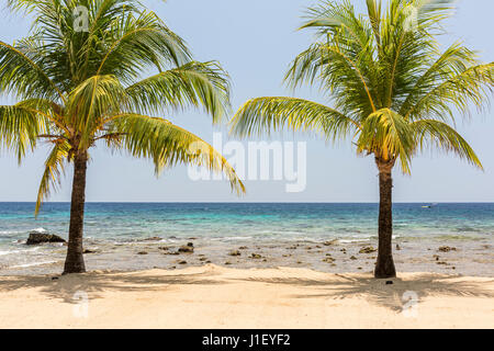 Ein paar von Kokosnuss-Palmen auf den schönen Sandstrand und Korallenriff am Lighthouse Point in der Nähe der Meridian-Resorts in Roatan, Honduras. Stockfoto