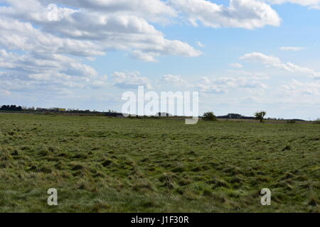 Grass-Land mit Hide in der Ferne an RSPB Snettisham Naturschutzgebiet Snettisham, Norfolk, Großbritannien Stockfoto