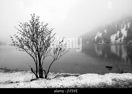 Naturschutzgebiet Vilsalpsee in den Österreichischen Alpen. Bundesland Tirol, Bezirk Reutte Stockfoto