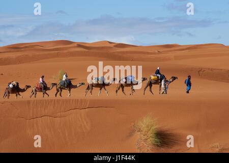 Touristen in den Sanddünen der Sahara am Erg Chebbi in Marokko auf eine Kamelen reiten. Stockfoto