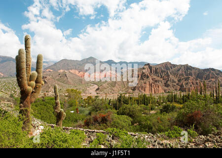 Humahuaca Schlucht, Quebrada de Humahuaca, Provinz Jujuy, Argentinien Stockfoto