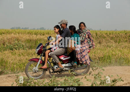 Familie auf einem Motorrad im Chalanbeel. Natore, Bangladesch. Stockfoto