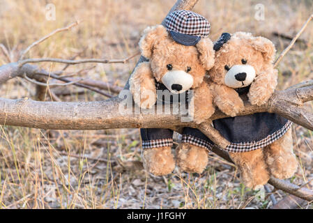 Teddy Bären hängen an einem Zweig im Park mit Kopie Raum, Liebe und Freundschaft Konzept im Vintage-Stil Stockfoto