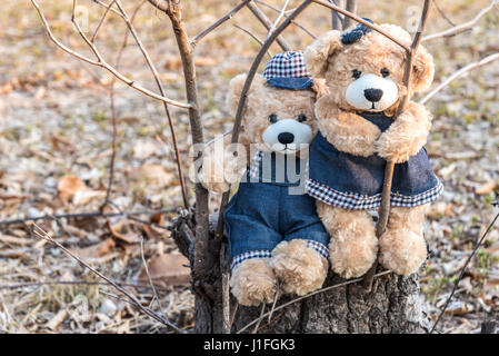 Teddy Bären hängen an einem Zweig im Garten mit Kopie Raum, Liebe und Freundschaft Konzept im Vintage-Stil Stockfoto