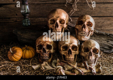 Stillleben mit fünf menschlichen Schädeln und Knochen in Scheune, Vintage-Stil Stockfoto
