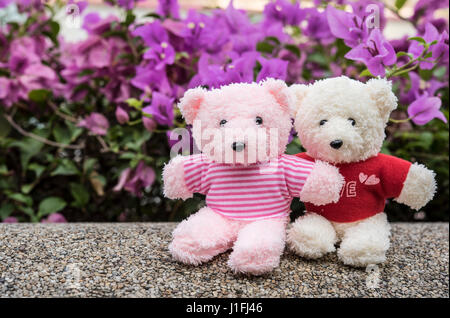 paar Teddybären Picknick im Garten mit rosa Blumen, Liebe Konzept Stockfoto