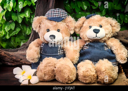 paar Teddybären Picknick im Garten mit zwei Plumeria Blumen, Liebe Konzept Vintage-Stil Stockfoto