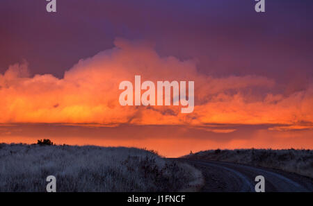 Cypress Hills Sonnenuntergang Elkwater Alberta Horeshoe Canyon Stockfoto