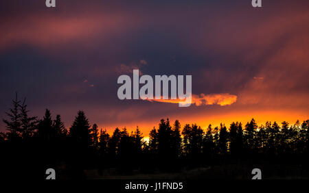 Cypress Hills Sonnenuntergang Elkwater Alberta Horeshoe Canyon Stockfoto