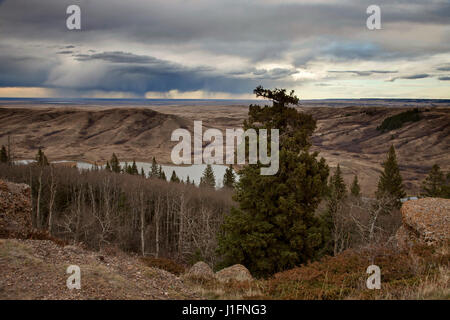 Cypress Hills Alberta Saskatchewan in den Hügeln Alberta Stockfoto