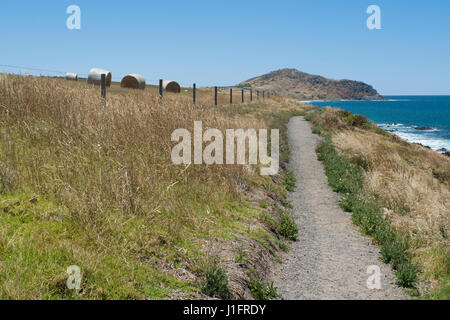 Heysen Trail in Richtung der Bluff von Kings Beach, Victor Harbor, Fleurieu Peninsula, South Australia. Ein Feld von große Runde Heuballen auf linken Seite. Stockfoto