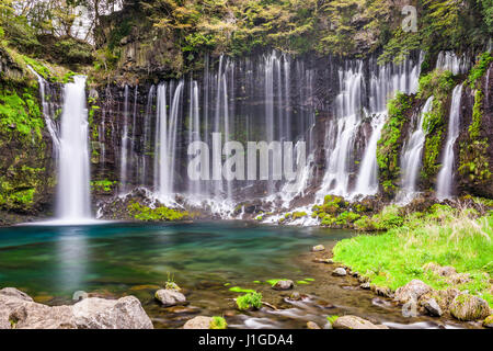 Shiraito fällt, Fujinomiya, Japan. Stockfoto