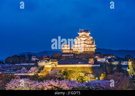 Himeji, Japan in Himeji Castle während Kirschblüte Frühjahrssaison. Stockfoto