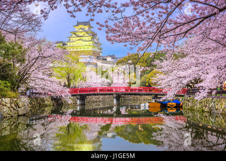 Himeji, Japan in Himeji Castle während Kirschblüte Frühjahrssaison. Stockfoto