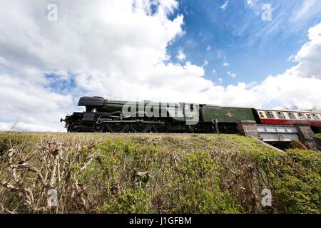 Die kultigen Flying Scotsman reisen entlang der Bluebell Railway in der Nähe von Horsted Keynes in Sussex. Stockfoto